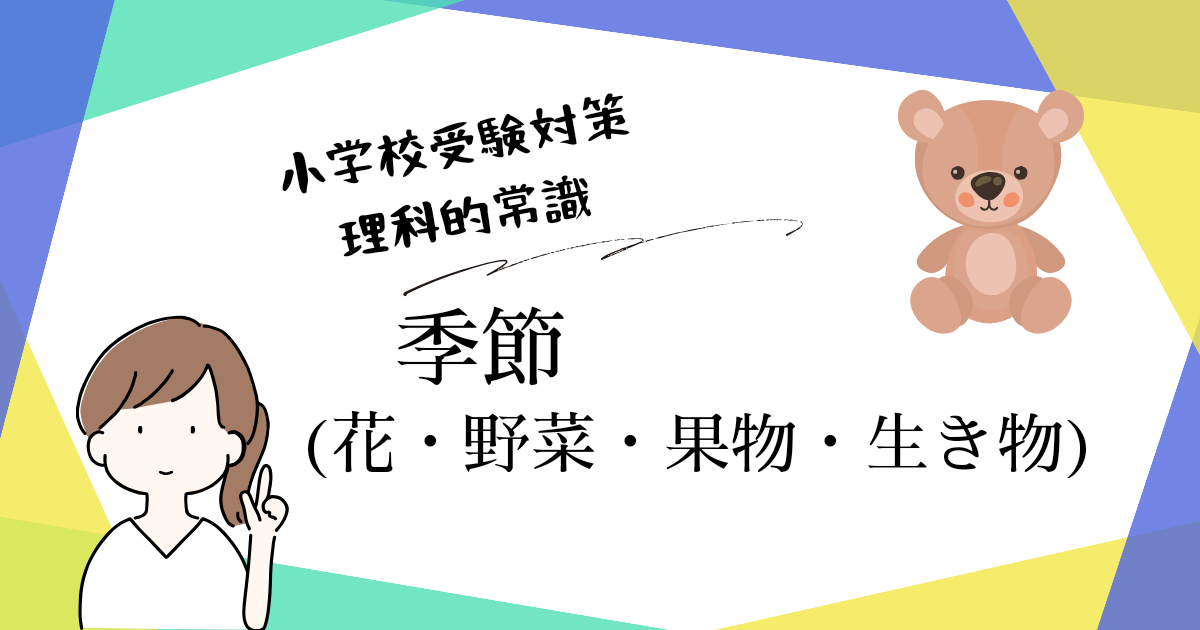 小学校受験教材 お勉強セット 季節 野菜と果物 動物・生き物 季節の花