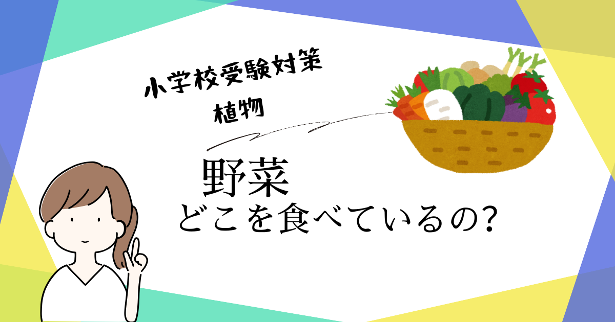 小学校受験の理科対策として、野菜のどこを食べているか（葉や根などの部位）や季節の分類を解説するアイキャッチ画像。