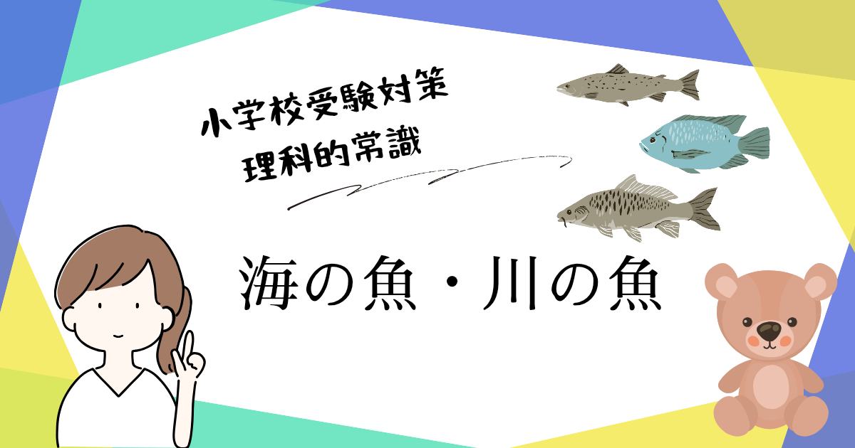 小学校受験の理科対策として、海の生き物や川の生き物の見分け方を解説するアイキャッチ画像。